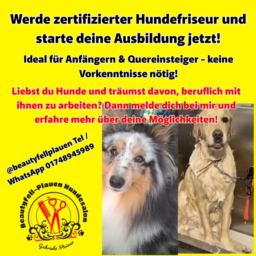 Ausbildung zum Hundefriseur in Plauen